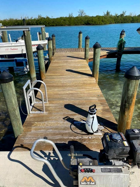 Dock staining before