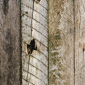 Deteriorated wood surface