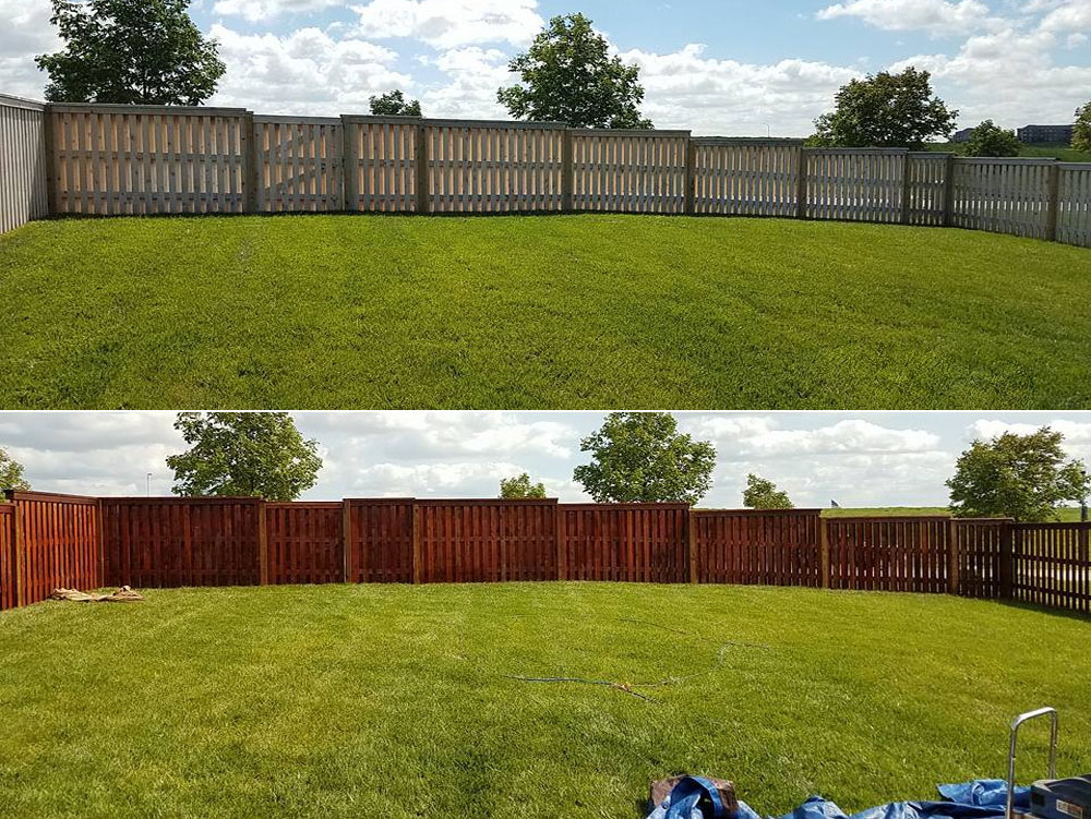 Fence Staining and Painting